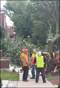 neighborhood-storm-damage2-082514